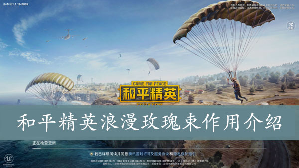 和平精英浪漫玫瑰束作用介绍