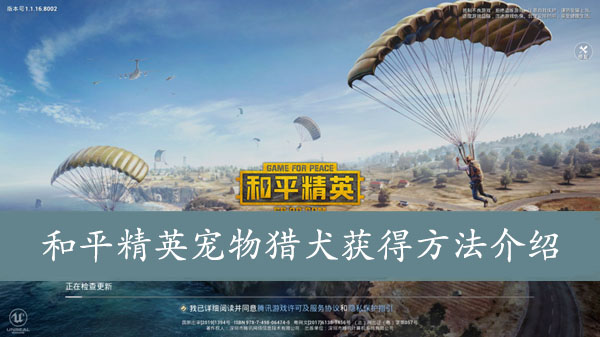 和平精英宠物猎犬获得方法介绍