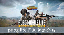 pubglite下载方法介绍