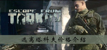 逃离塔科夫价格介绍