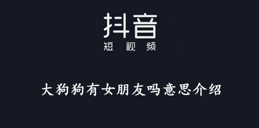抖音大狗狗有女朋友吗意思介绍