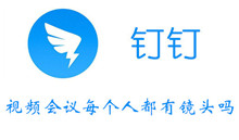 钉钉视频会议每个人是否都有镜头介绍