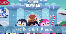 小动物之星下载地址介绍