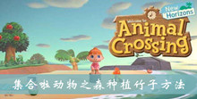 集合啦动物之森种植竹子方法介绍