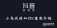 《抖音》小鸟伏特加zbc意思介绍