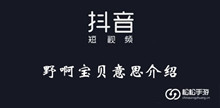 《抖音》野啊宝贝意思介绍