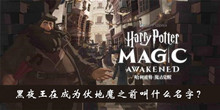 黑夜王在成为伏地魔之前叫什么名字答案