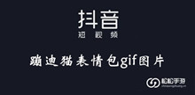 《抖音》蹦迪猫表情包gif图片大全