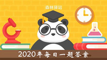 2020《微博》森林驿站7月10日题目答案