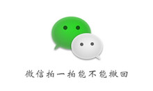 《微信》拍一拍能否撤回介绍