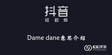 《抖音》Dame dane意思介绍