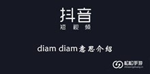 《抖音》diam diam意思介绍