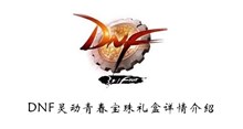 《DNF》灵动青春宝珠礼盒详情介绍