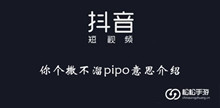 《抖音》你个撒不溜pipo意思介绍