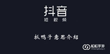 《抖音》抓鸭子意思介绍
