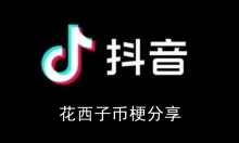 《抖音》花西子币梗分享