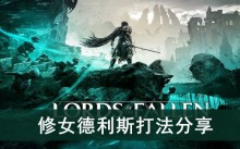 《堕落之主》修女德利斯打法分享