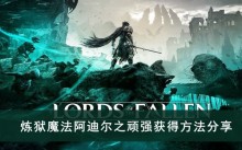 《堕落之主》炼狱魔法阿迪尔之顽强获得方法分享