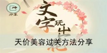 《文字玩出花》天价美容过关方法分享