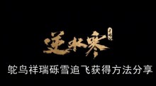 《逆水寒手游》鸵鸟祥瑞砾雪追飞获得方法分享