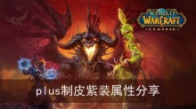 《魔兽世界》plus制皮紫装属性分享