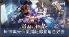 原神璨光仙灵搭配哪些角色好看