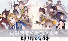 白荆回廊兑换码怎么用