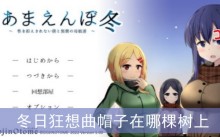 冬日狂想曲帽子在哪棵树上