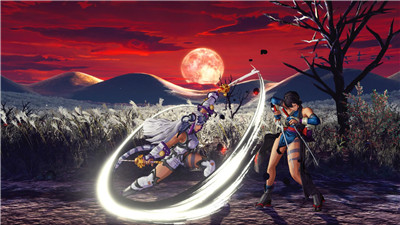 动漫格斗游戏手机版