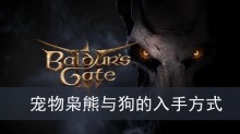 博德之门3宠物枭熊与狗的入手方式