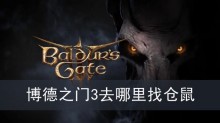 博德之门3去哪里找仓鼠