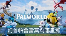 幻兽帕鲁雷冥鸟哪里抓