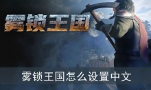 雾锁王国怎么设置中文