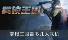 雾锁王国最多几人联机
