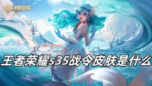 王者荣耀s35战令皮肤是什么