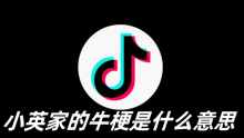 小英家的牛梗是什么意思
