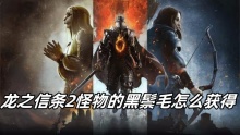 龙之信条2怪物的黑鬃毛怎么获得
