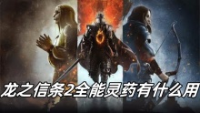 龙之信条2全能灵药有什么用