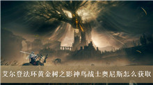 艾尔登法环黄金树之影神鸟战士奥尼斯怎么获取
