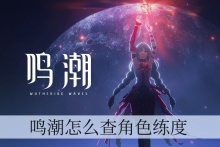 鸣潮怎么查角色练度