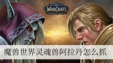 魔兽世界灵魂兽阿拉丹怎么抓