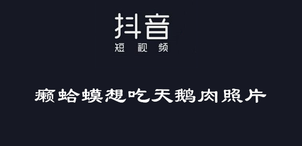 抖音癞蛤蟆想吃天鹅肉图片大全