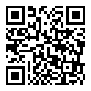 玩了个锤子安卓下载