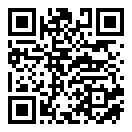 粗鄙的武夫存档