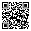 寻宝小探谍影之谜安卓下载