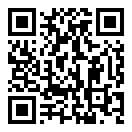 口袋妖怪火箭队下载随机mod