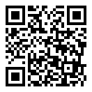 游乐场之王下载安装手机版