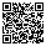 罗曼圣诞探案集