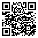 神经质男孩下载正版