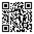 小小盗贼下载链接完整版